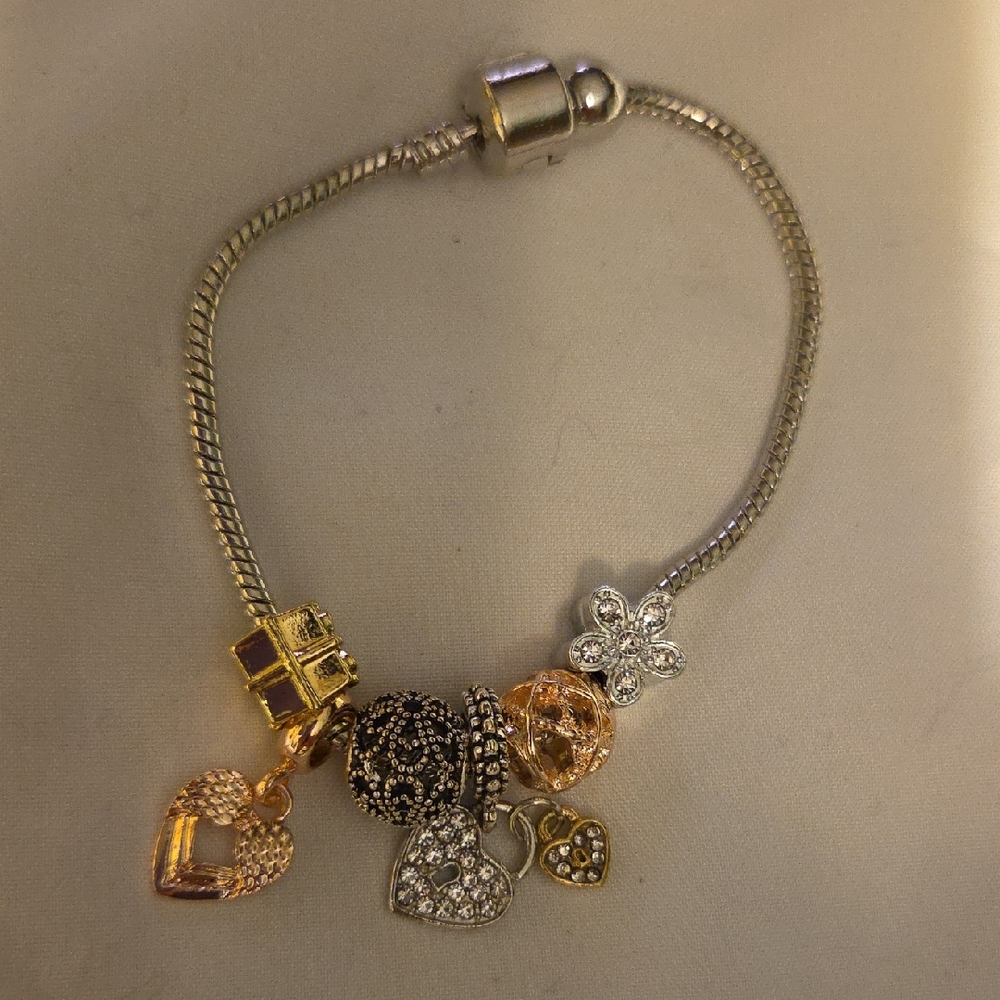 Elegant Silver and Gold Charm Bracelet